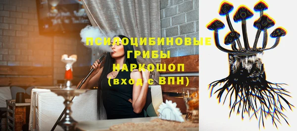 герыч Алексин