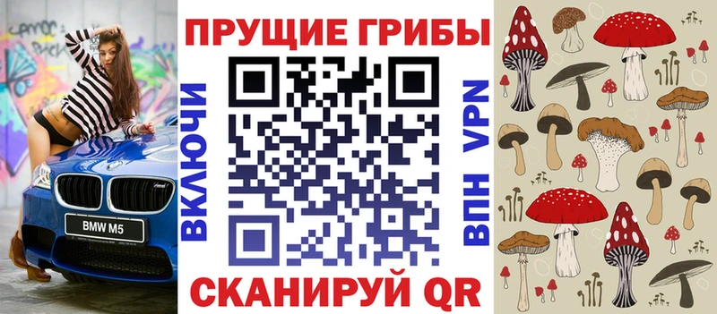 закладка  кракен ссылки  Галлюциногенные грибы Psilocybe  Ливны 